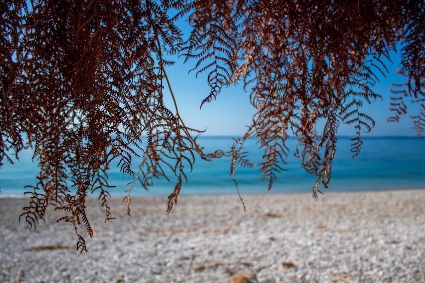 Half day boat trip from Vlore to Sazan Island