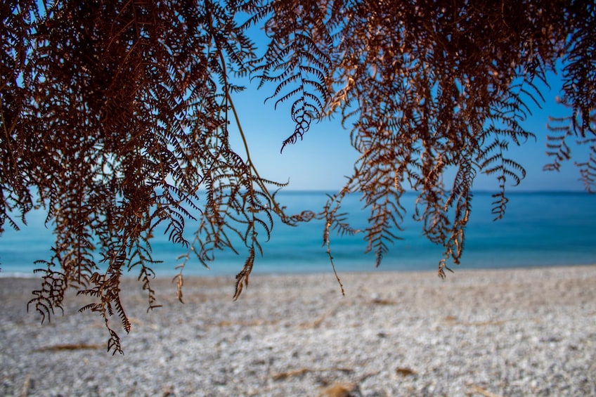 Half day boat trip from Vlore to Sazan Island