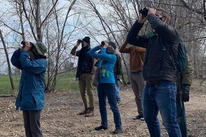 Colorado's Birds of Prey Full-Day Private Watching with Lunch