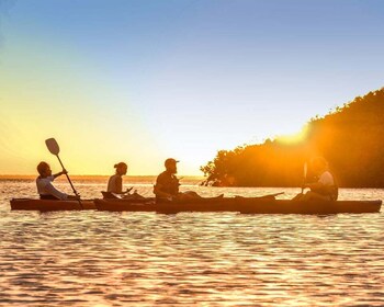 Cancún: Petualangan Kayak Pagi atau Matahari Terbenam di Laguna Nichupte