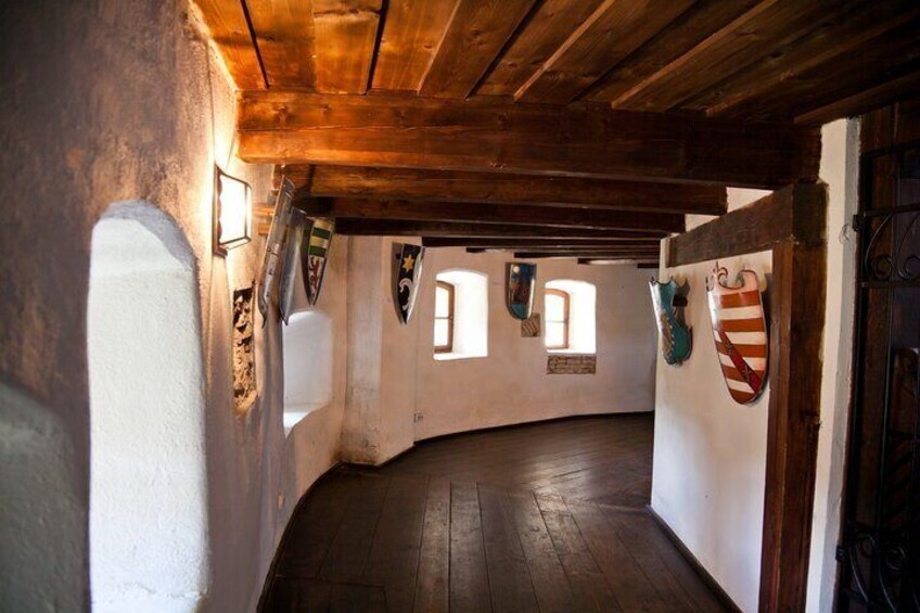 Bears Sanctuary, Dracula Castle and Poiana Brasov-Private day tour from Brasov