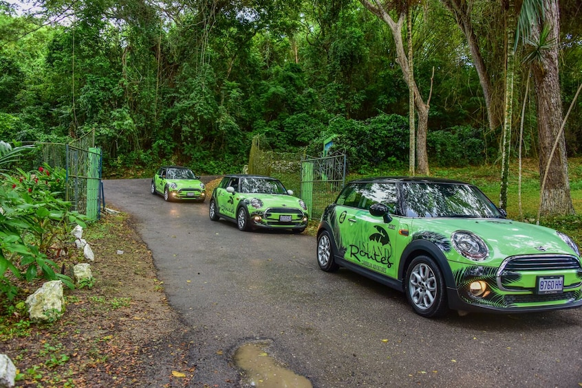 Mini-Routes 'Drive Your Own' Adventure Montego Bay Half Day