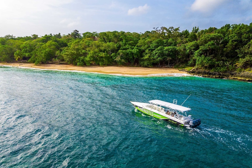 Montego Bay Half Day Powerboat Adventure