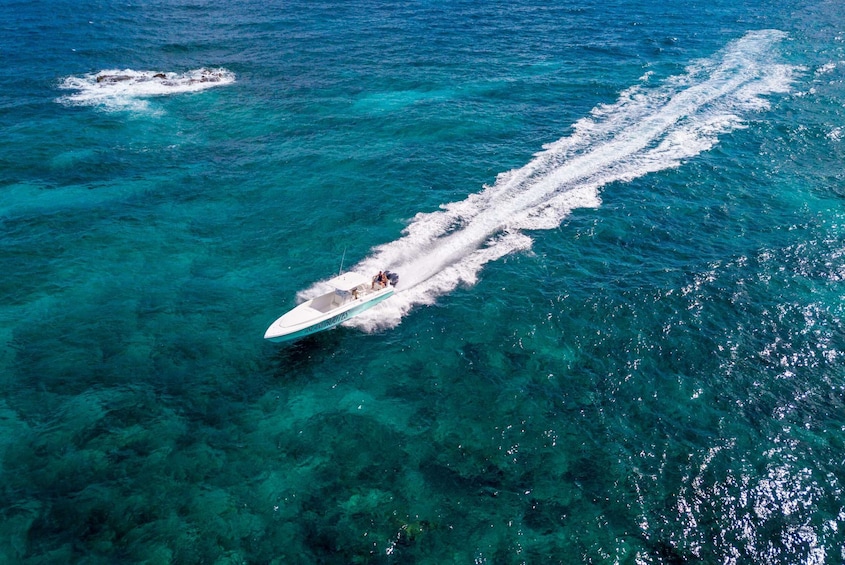 Montego Bay Half Day Powerboat Adventure