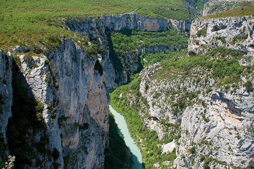 One day tour in the middle of the lavender fields and the Gorges du Verdon