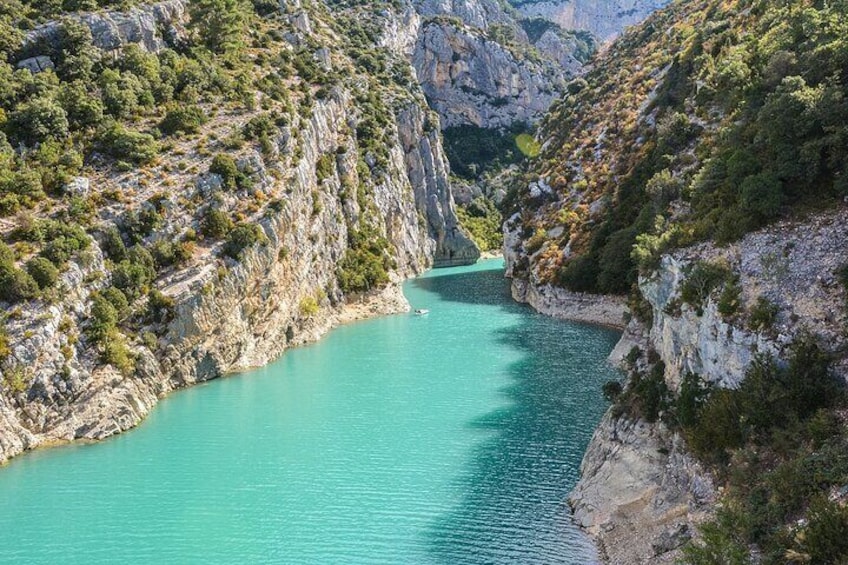 One day tour in the middle of the lavender fields and the Gorges du Verdon
