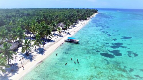 Punta Cana: excursión de un día a la isla Saona