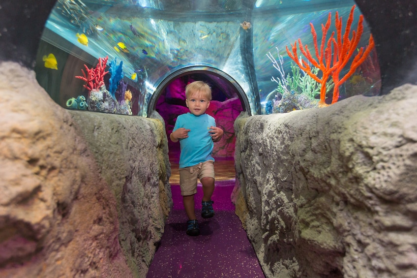 SEA LIFE Orlando Aquarium