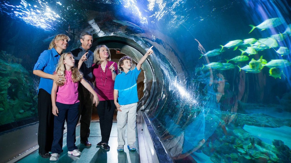 Cargar ítem 1 de 5. Aquarium tunnel with family at Sea Life in Orlando