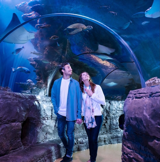 SEA LIFE Orlando Aquarium