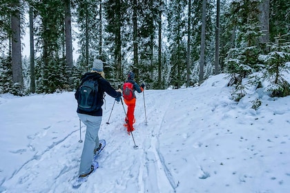 Snowshoeing in Triglav National Park