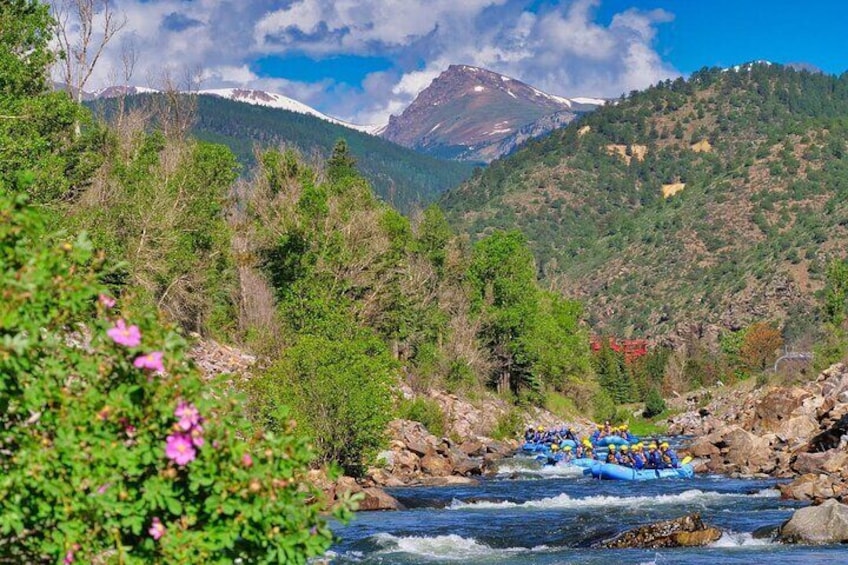 Raft the Beginner stretch on Clear Creek!