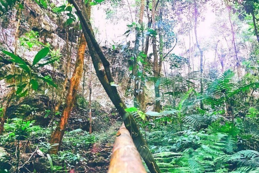 Full-Day Private Tour of Candelaria Caves from Cobán