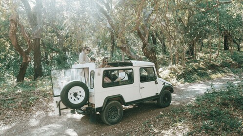 Sintra: Regaleira, Cabo da Roca en Cascais Jeepsafari Tour