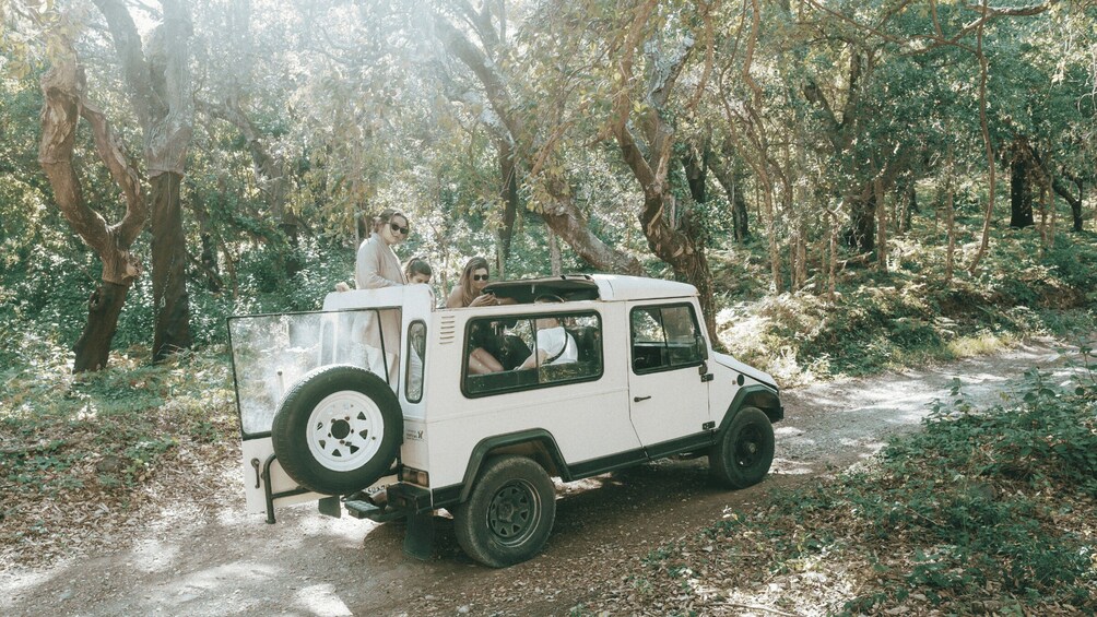 Sintra: Regaleira, Cabo da Roca and Cascais Jeep Safari Tour