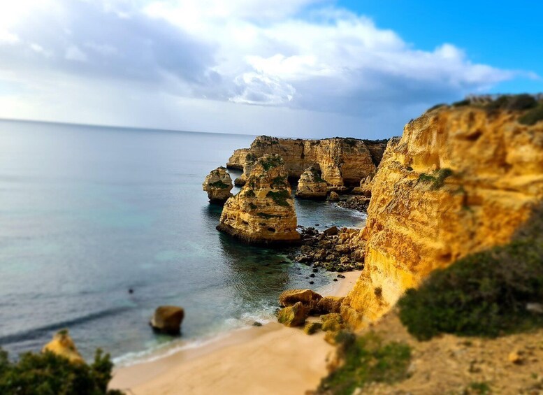 Picture 17 for Activity Portimão: Benagil Cave and Praia de Marinha Boat Tour