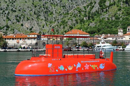 Kotor : expérience sous-marine panoramique et semi-sous-marine