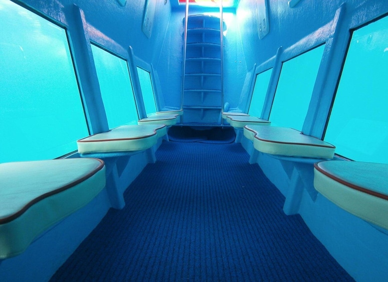 Picture 5 for Activity Kotor: Panorama and Semi-Submarine Underwater Experience