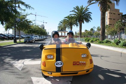 GPS Talking Tour Cars: San Diego Full Day Tour