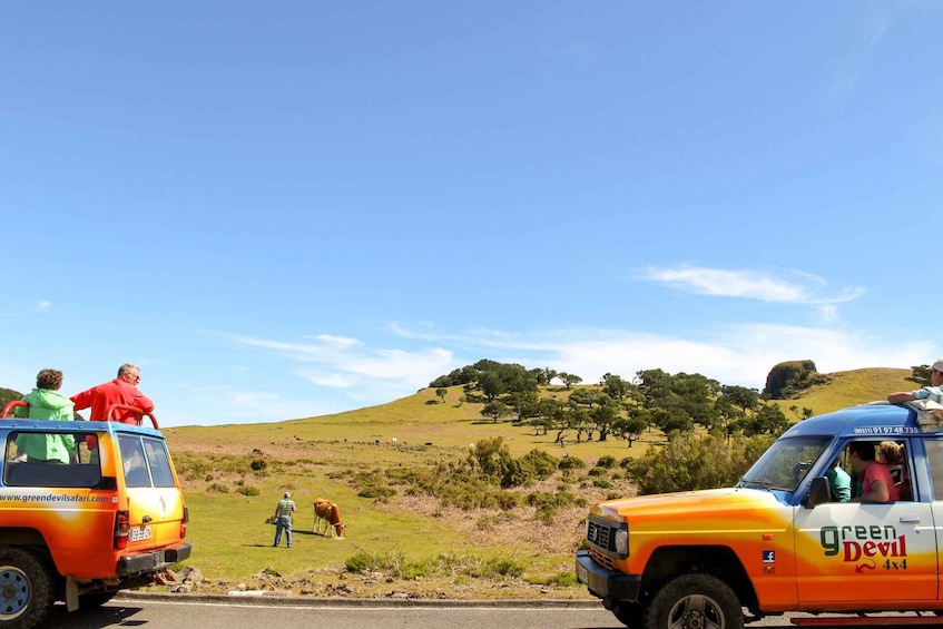 Picture 16 for Activity Funchal: Enchanted Terraces, Porto do Moniz & Fanal 4WD Tour