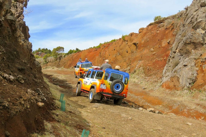 Picture 11 for Activity Funchal: Enchanted Terraces, Porto do Moniz & Fanal 4WD Tour