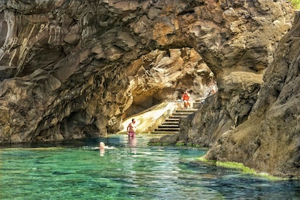 Funchal : Terrasses enchantées, Porto do Moniz et Fanal 4WD excursion