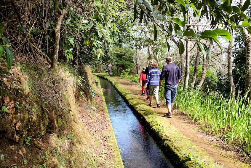 Picture 18 for Activity Funchal: Enchanted Terraces, Porto do Moniz & Fanal 4WD Tour