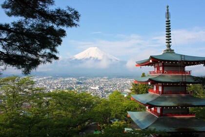 From Tokyo: 1-Day Private Mt. Fuji Tour by Car