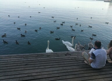 Budapest: Balaton-järvi ja Herendin posliini yksityinen päiväretki