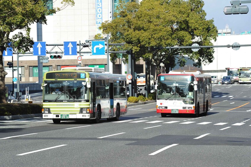 Picture 8 for Activity Hiroshima:Visit Tourist Pass(1, 2, 3day and 3day middlearea)