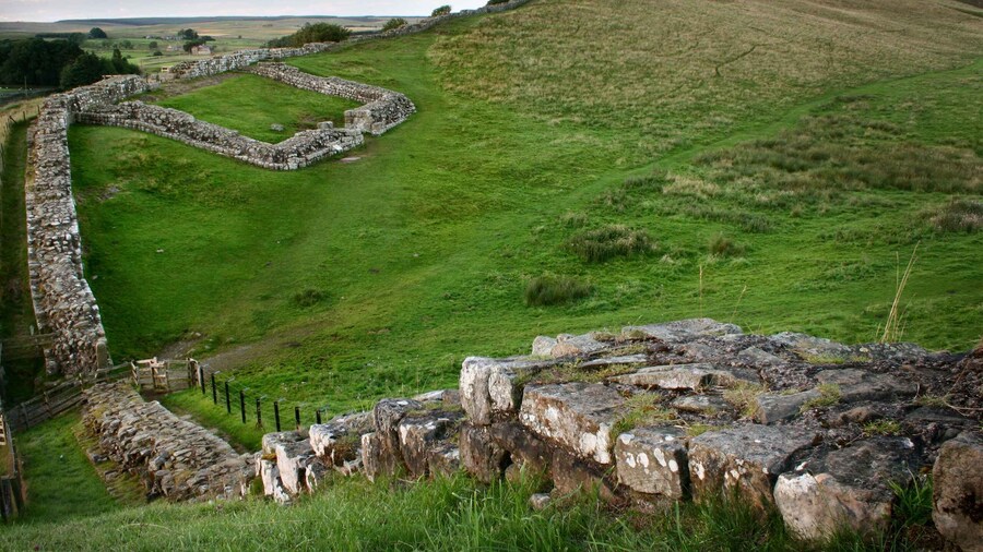 Hadrian's Wall: 4.5-Hour Guided Tour
