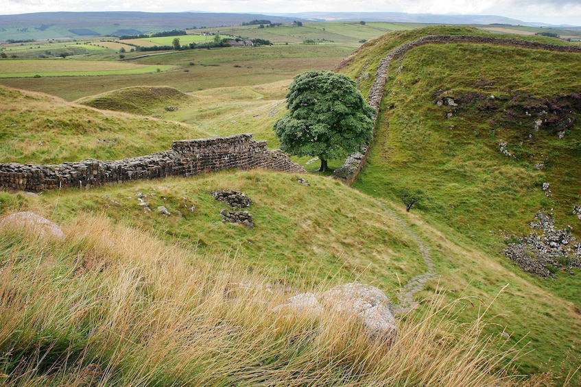 Picture 2 for Activity Hadrian's Wall: 4.5-Hour Guided Tour