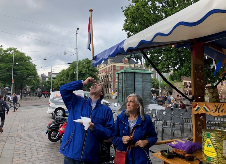 Picture 14 for Activity Visit the Girl with the Pearl Earring, The Hague & Delft