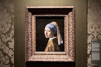 Visita a la chica de la perla, La Haya y Delft