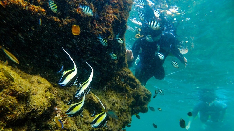 St. Lucia: Cape Vidal Snorkeling Adventure
