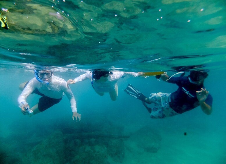 Picture 5 for Activity St. Lucia: Cape Vidal Snorkeling Adventure