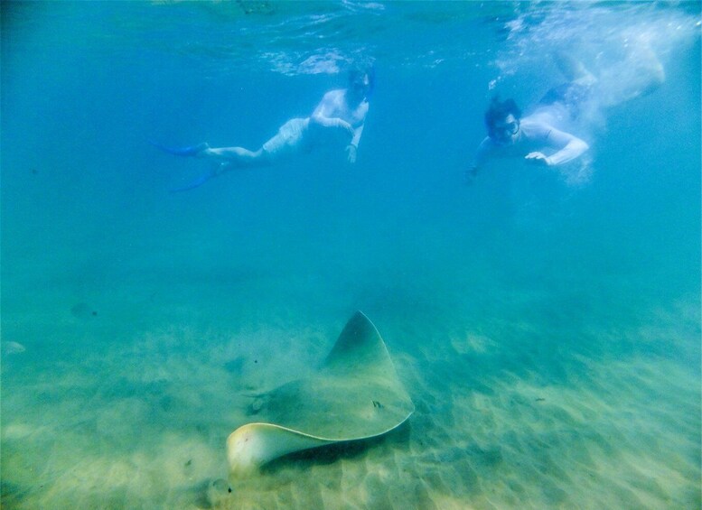 Picture 4 for Activity St. Lucia: Cape Vidal Snorkeling Adventure