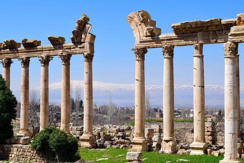 Picture 4 for Activity Baalbek Tour