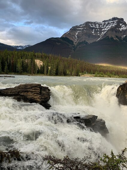 Picture 3 for Activity Vancouver to Banff and Jasper 5 Day Private Tour