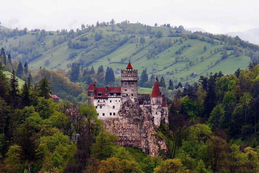 Picture 4 for Activity Bran: Guided Castle Tour