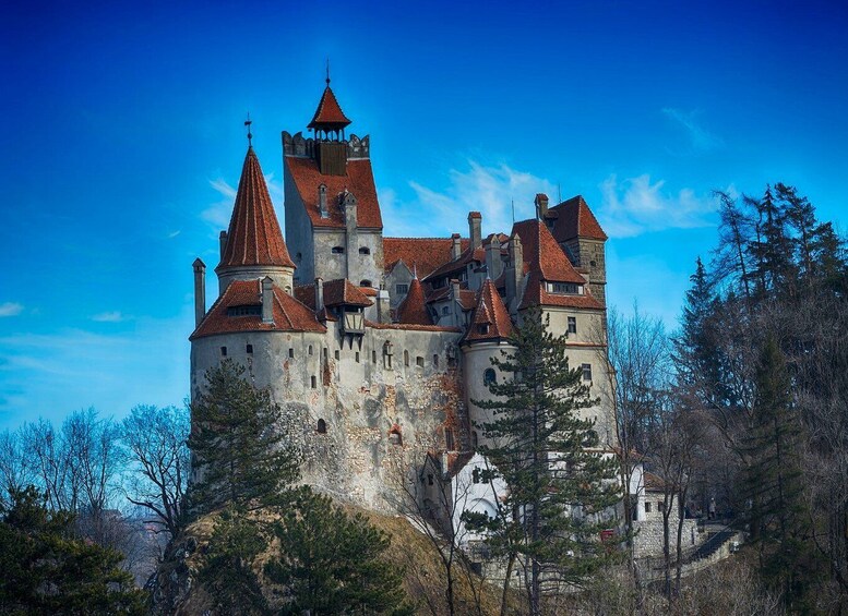 Picture 1 for Activity Bran: Guided Castle Tour