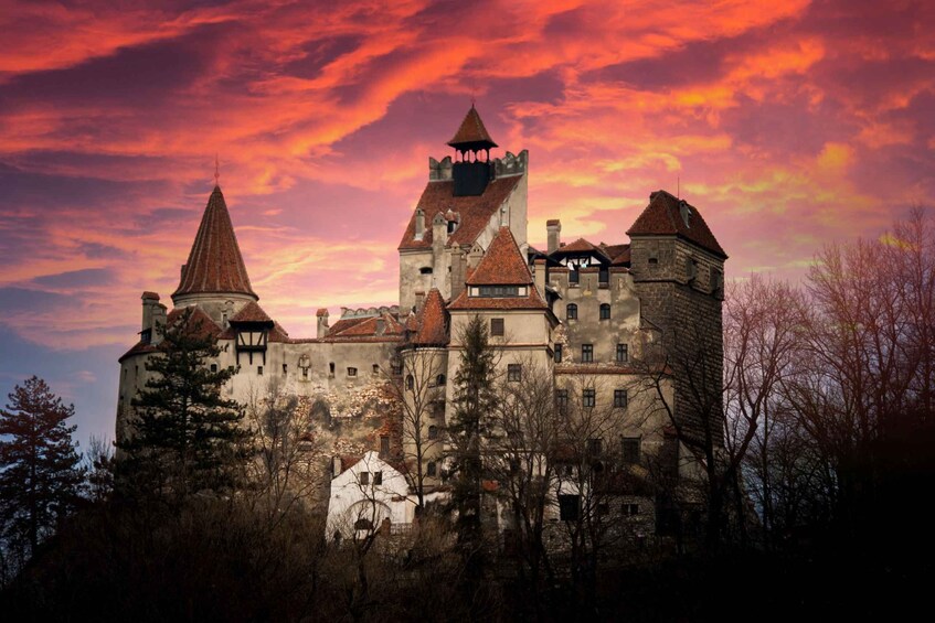 Picture 2 for Activity Bran: Guided Castle Tour