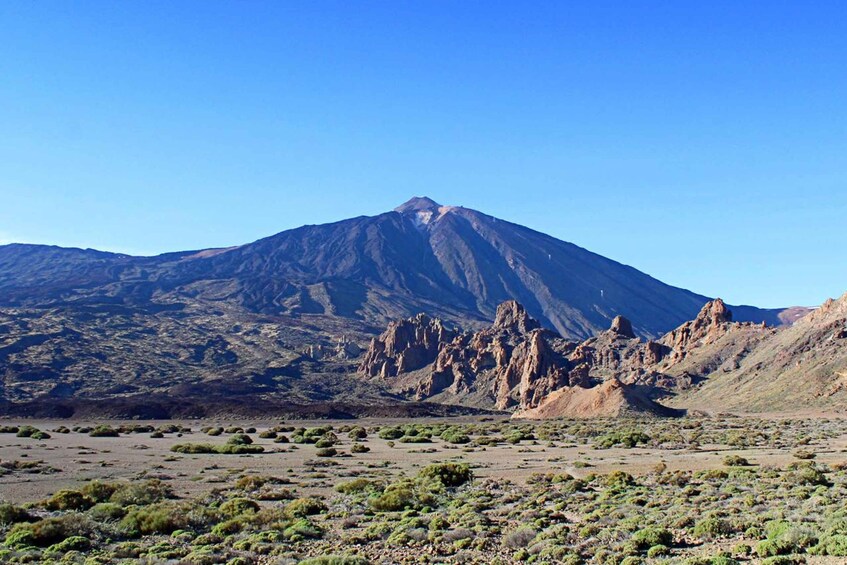 Tenerife: Teide and Las Cañadas Half-Day Tour