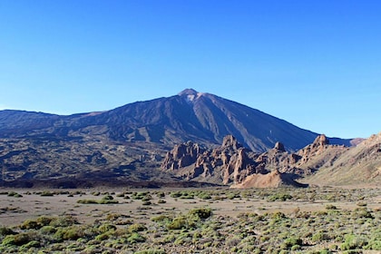 Tenerife: Halve dagtour Teide en Las Cañadas