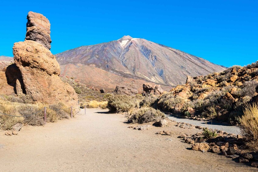 Picture 9 for Activity Tenerife: Teide and Las Cañadas Half-Day Tour