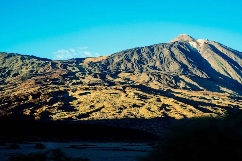 Picture 7 for Activity Tenerife: Teide and Las Cañadas Half-Day Tour