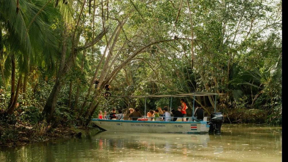 Picture 1 for Activity From Manuel Antonio: Mangrove Boat Tour