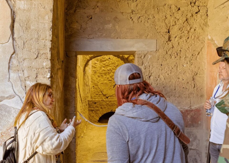 Picture 11 for Activity Pompeii Tour & Lunch with Wine Tasting Experience