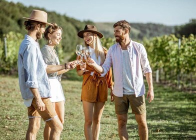 Tour de Pompeya y almuerzo con experiencia de cata de vinos