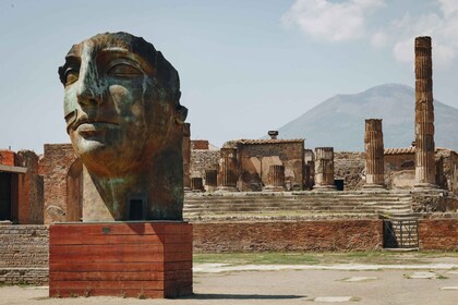 Pompei: Tour delle rovine archeologiche con pranzo e degustazione di vino